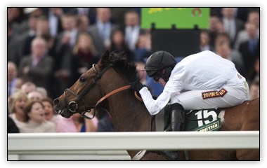 Minella for Fitness Aintree 2013.