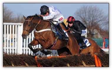 Minella For Fitness Aintree 2013