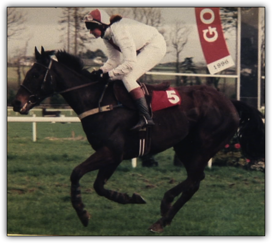 Minella Storm 1996
