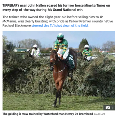 Aintree Grand National Winner.png