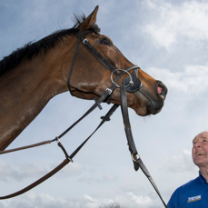 Colin Bowe & Rocco.jpeg