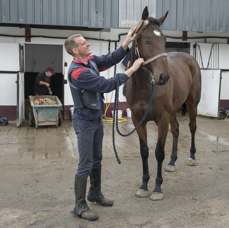 Grooming at Lavaley.jpg