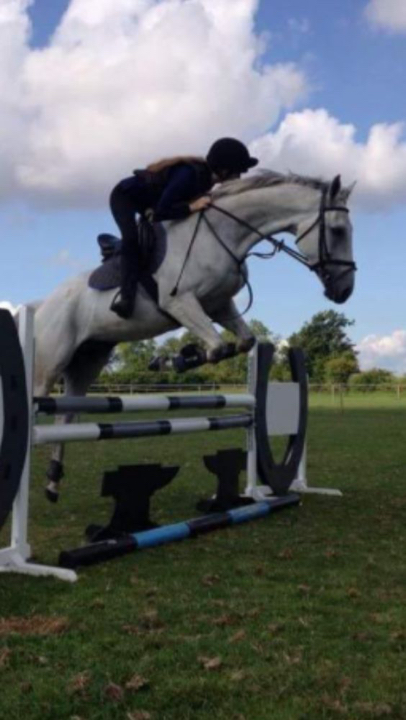 Minella Bliss Life after racing.jpg