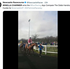 Minella Charmer Sun Alliance Winner 16/3/19.png