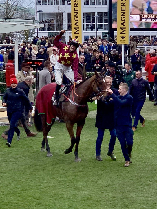 Minella Indo Winner .jpg