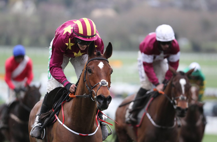 Minella Indo winner at Cheltnham 2019.jpg