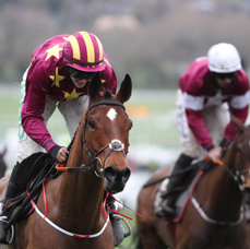 Minella Indo winner at Cheltnham 2019.jpg