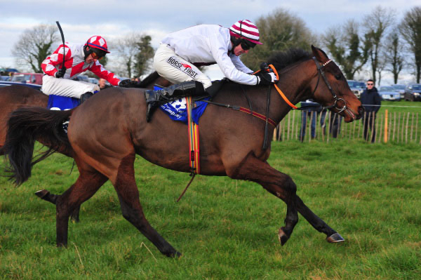 Minella Majestic Winner at Ballindenisk p2p.jpg