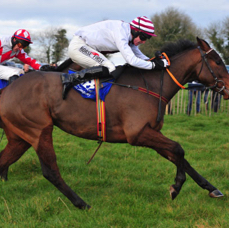 Minella Majestic Winner at Ballindenisk p2p.jpg
