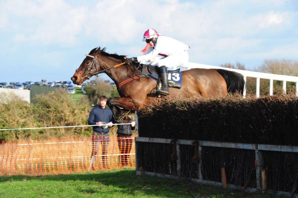 Minella Royale at Lingstown.jpg