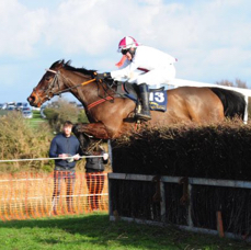 Minella Royale at Lingstown.jpg