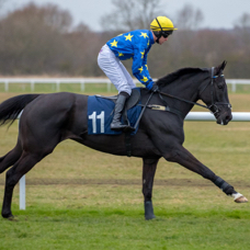 Minella Whisper at huntingdon.jpg