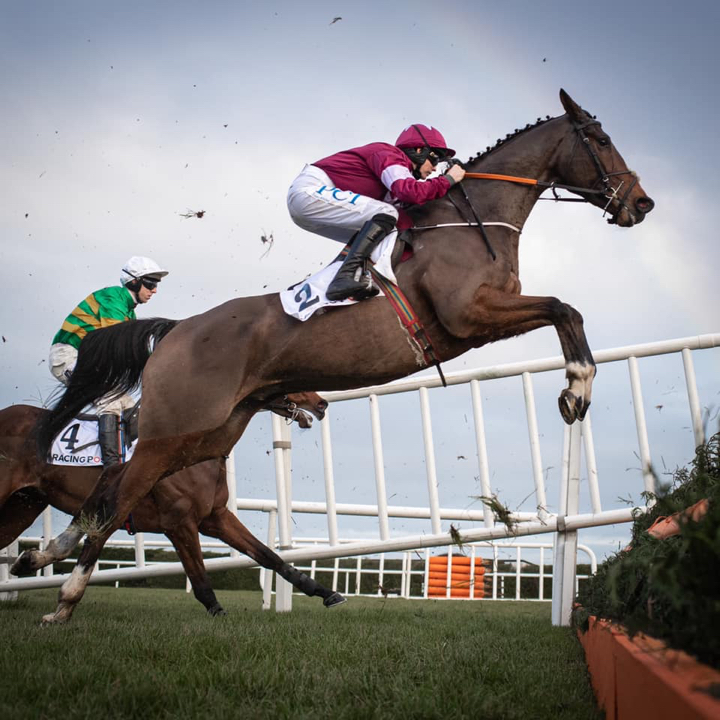 Notebook is a dream ride for a jockeyn.jpg