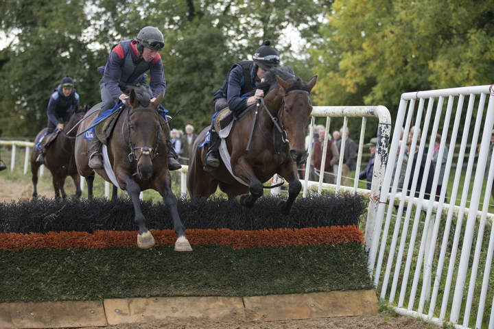 Over  Fences..jpg