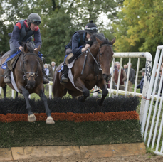 Over  Fences..jpg