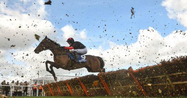 Rachael Blackmore on Minella Indo. 50/1! .jpg