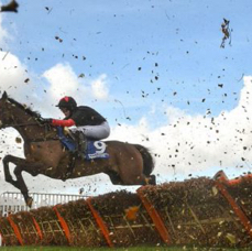 Rachael Blackmore on Minella Indo. 50/1! .jpg