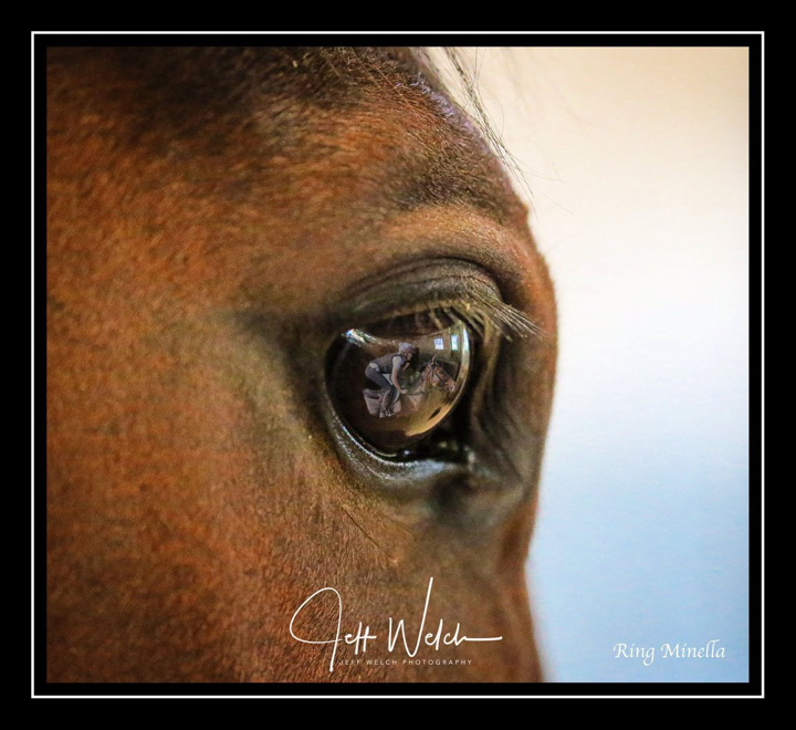 Ring Minella.jpg