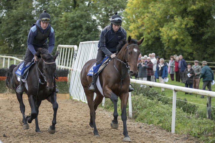 The Gallops.jpg