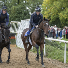The Gallops.jpg