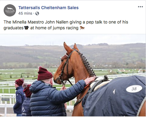 The Minella Maestro.png