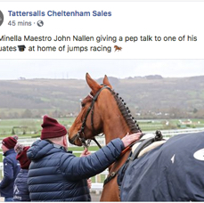 The Minella Maestro.png