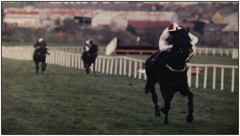 A horse called Minella.