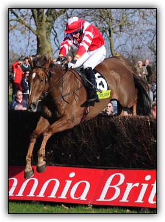 Minella Four Star
