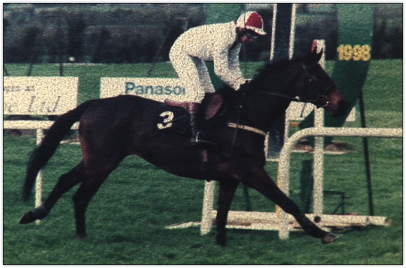 Minella Storm in 1998