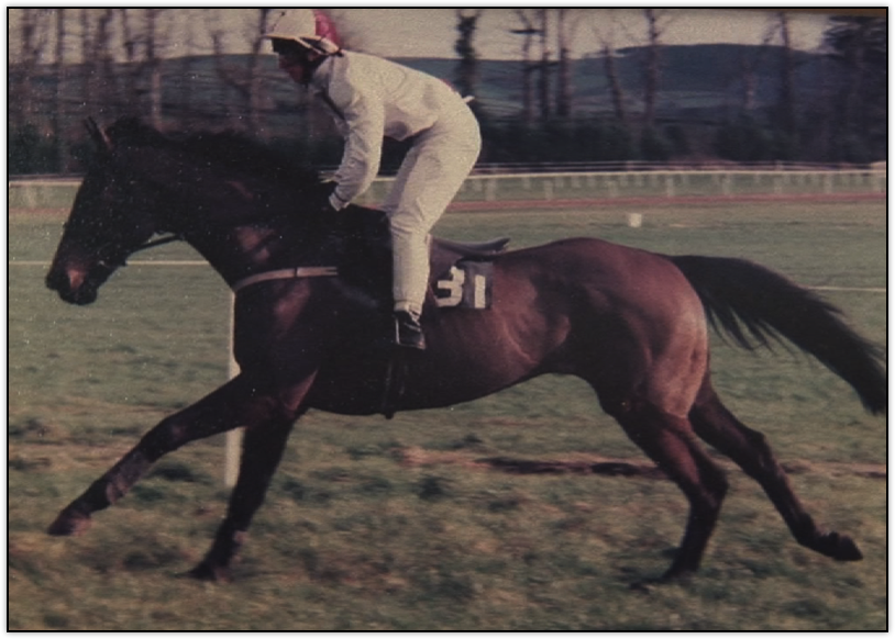 Minella lad racing